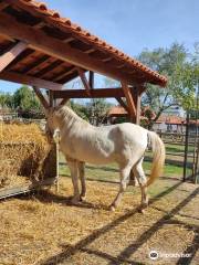 Quinta Pedagógica de los Olivares