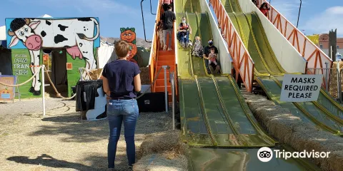 Cornbelly's Corn Maze & Pumpkin Fest