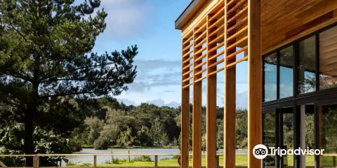 Stafford Moor Fishery