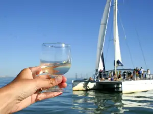 KAPALOUEST - Balade à la voile en catamaran