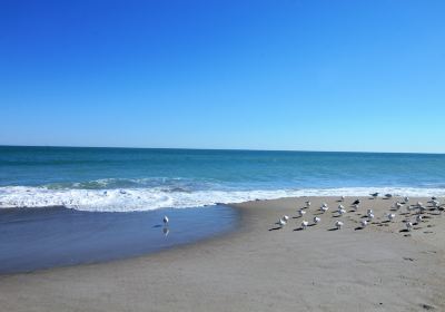 Indialantic Boardwalk and Seashore