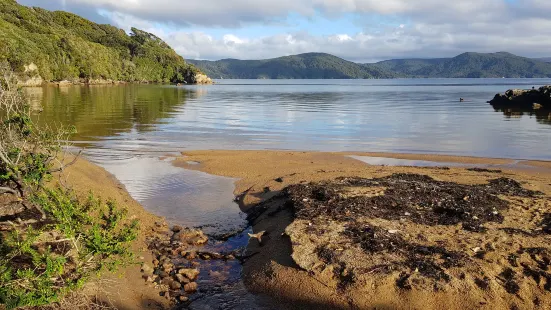 Ruggedy Range Wilderness Experience & Tours - Stewart Island