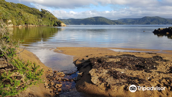 Stewart Island