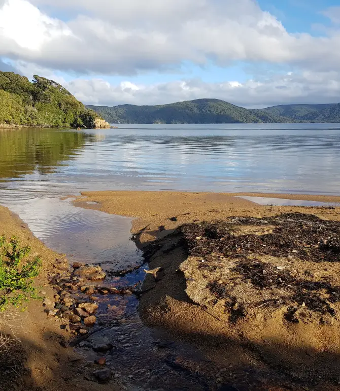 Stewart Island