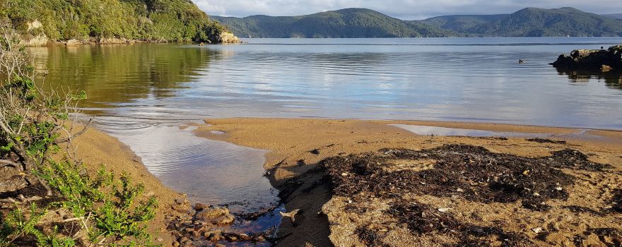 Ruggedy Range Wilderness Experience & Tours - Stewart Island