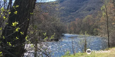 Lehigh Gap Nature Center