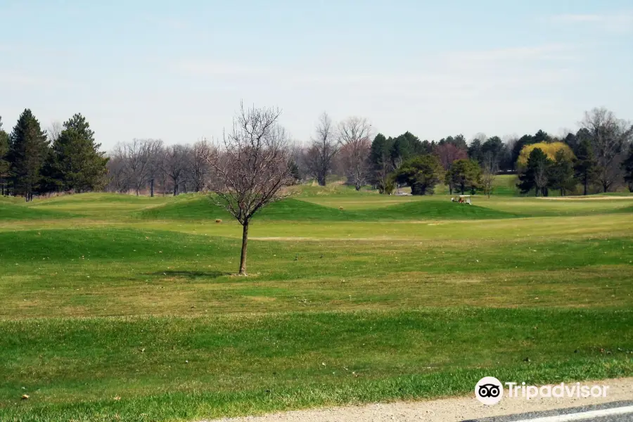 The Emerald at Maple Creek