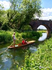 Westgate Punts