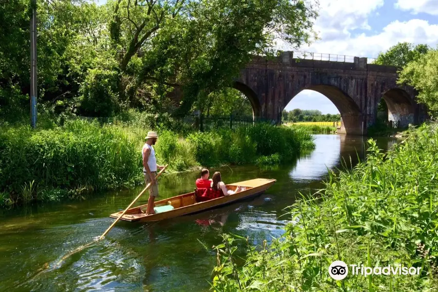 Westgate Punts