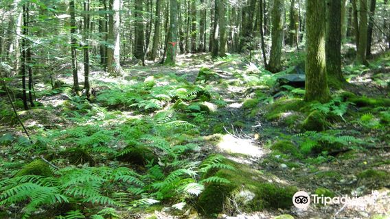 Lake George Regional Park
