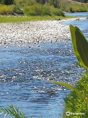 Yampa River State Park