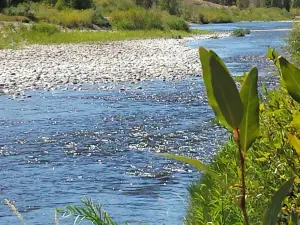 Yampa River State Park