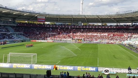 Royal Palace of Turin + Museum of Oriental Art + Castello di Valentino + Torino Olympic Stadium