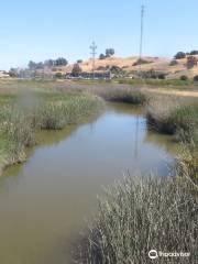 Shollenberger Park