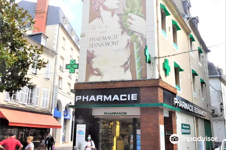 Fresque La Pharmacie