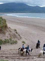 O'Connor's Trekking Horse Riding