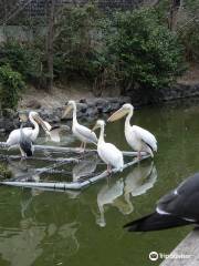 靜岡市立日本平動物園