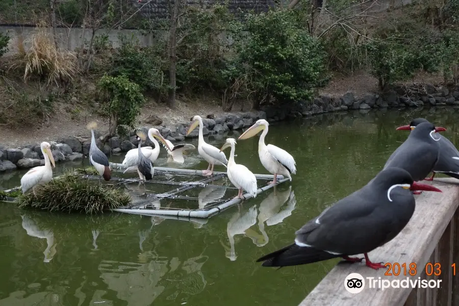 Nihondaira Zoo