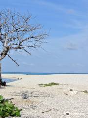 Playa Los Patos