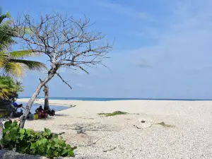 Playa Los Patos