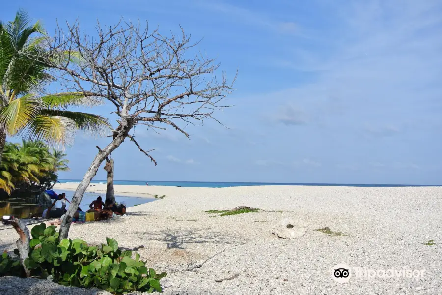 Playa Los Patos