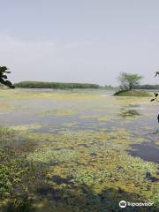 Shekha Jheel