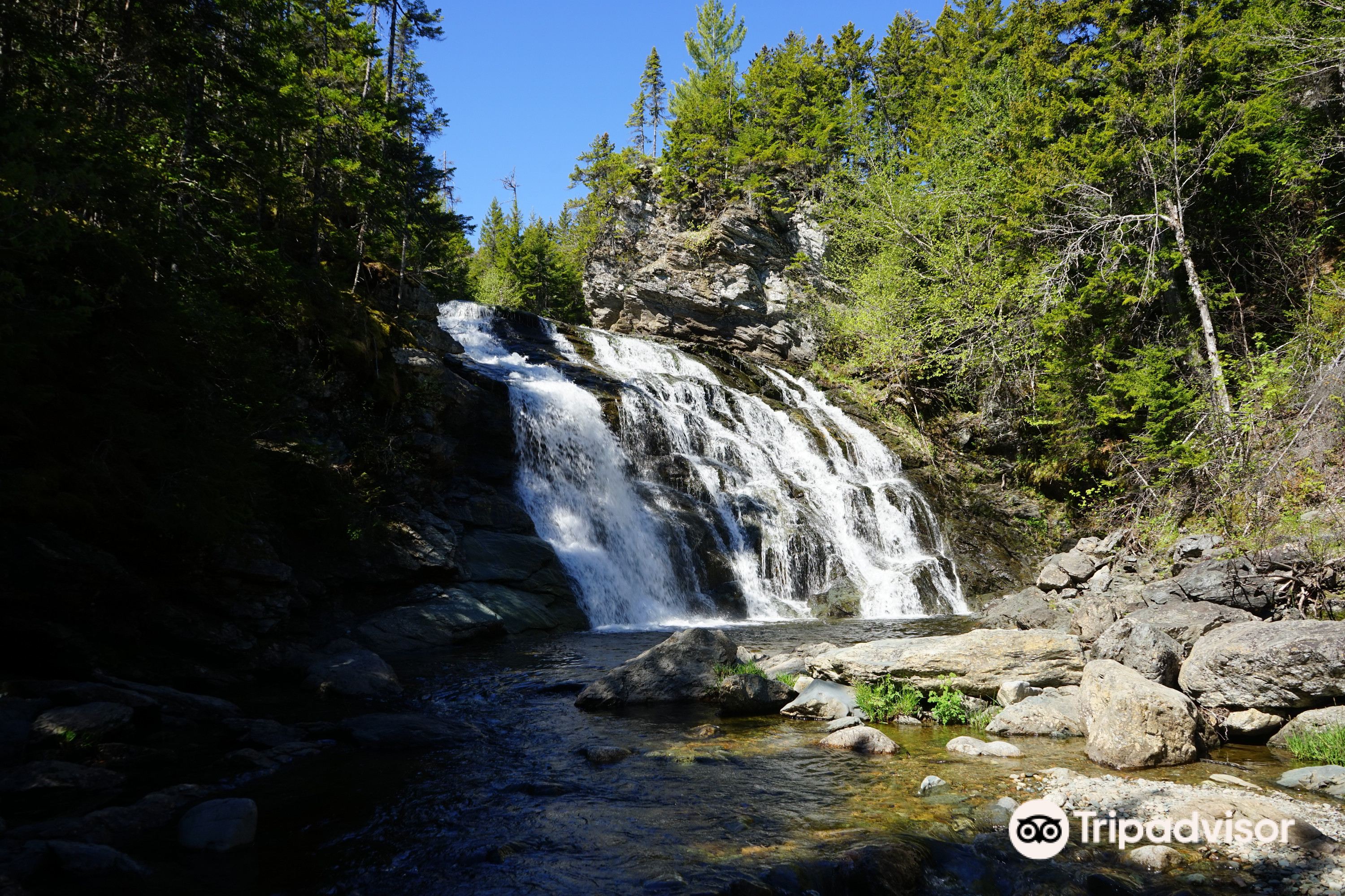 Latest travel itineraries for Fundy National Park Of Canada in