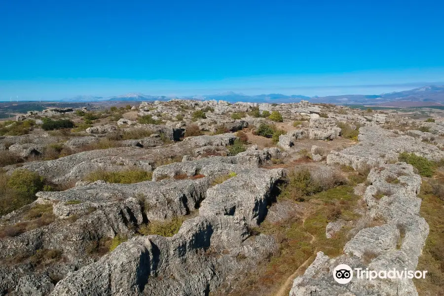 Las Tuerces y el Canon de la Horadada