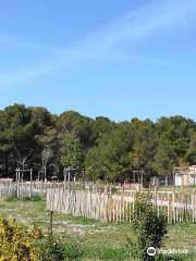 Parc départemental de Bessilles