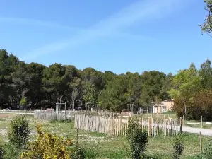 Parc départemental de Bessilles