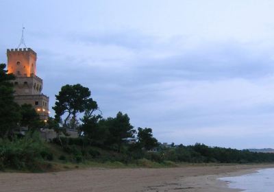 Area Marina Protetta Torre del Cerrano