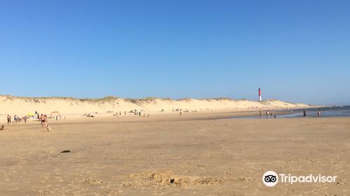 Plage du Vieux Phare