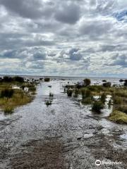 Lake Hindmarsh