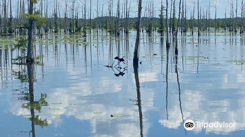 Black Bayou Lake National Wildlife Refuge