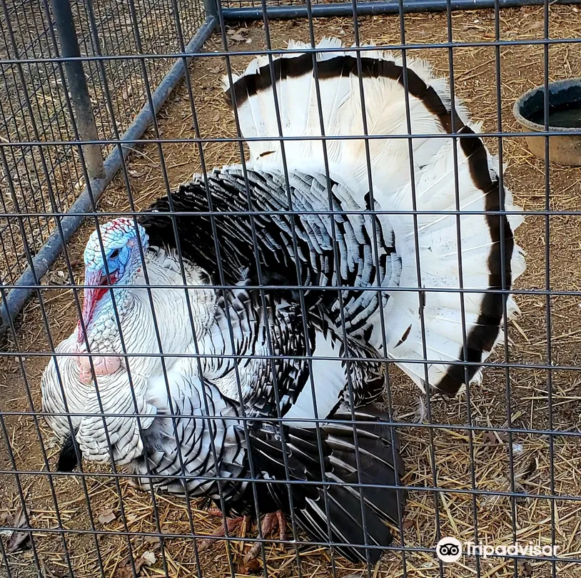 3_Leesburg Animal Park