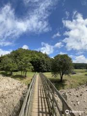 National Trust - Allen Banks and Staward Gorge