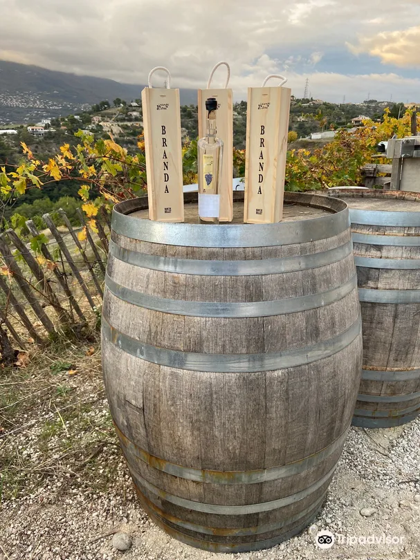 4_Domaine Saint Jean