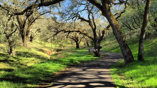 Sonoma Valley Regional Park