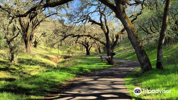 Sonoma Valley Regional Park
