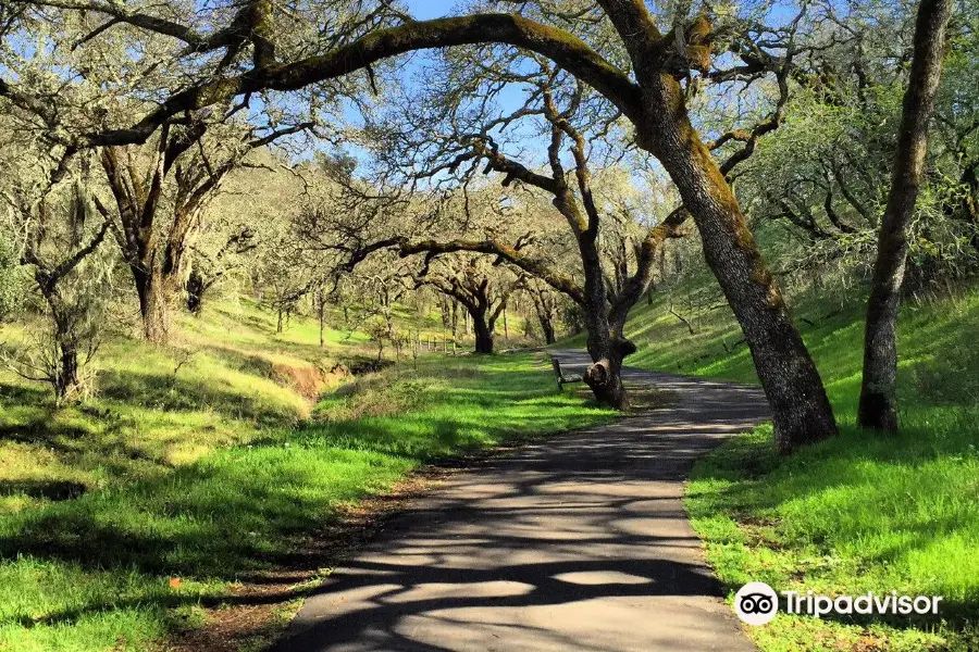 Sonoma Valley Regional Park