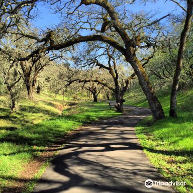 Sonoma Valley Regional Park