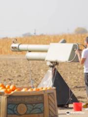 Fritzler's Corn Maize