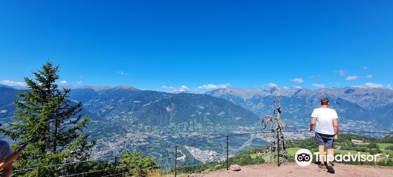 Knottnkino