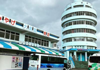 Cape Shionomisaki Tourist Tower