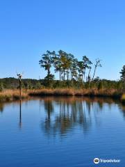 Goose Creek State Park