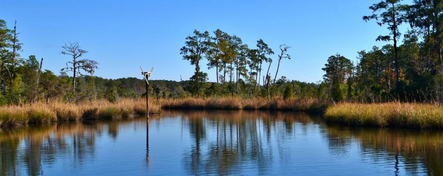 Goose Creek State Park