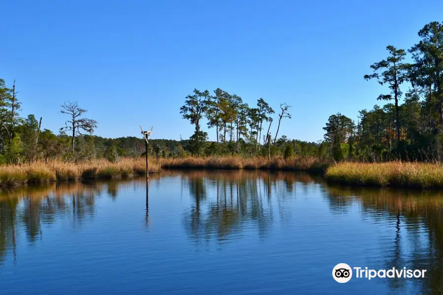 Goose Creek State Park