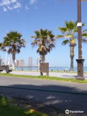 Paseo Peatonal Cavancha