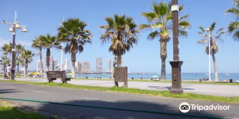 Paseo Peatonal Cavancha