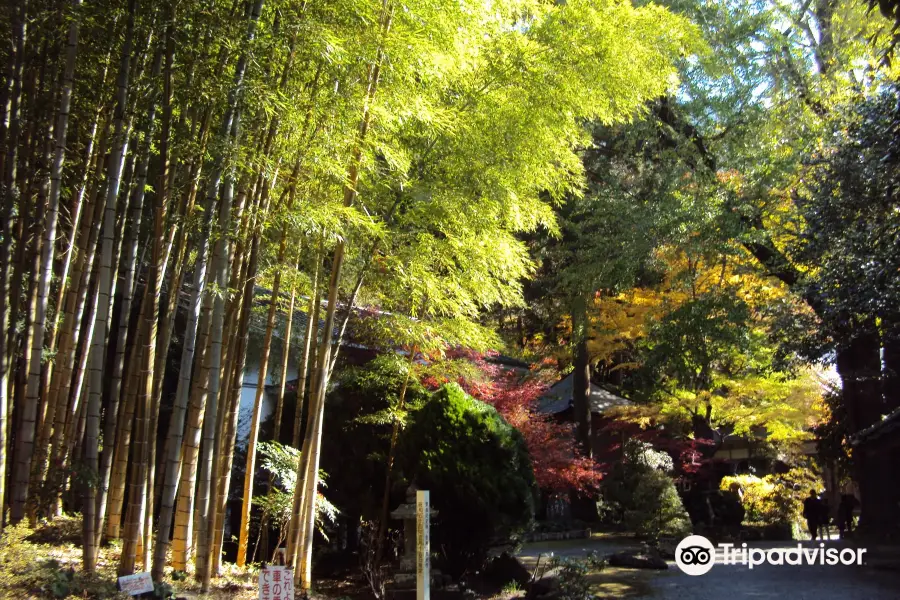 Mt.Kongou Chouanji Temple